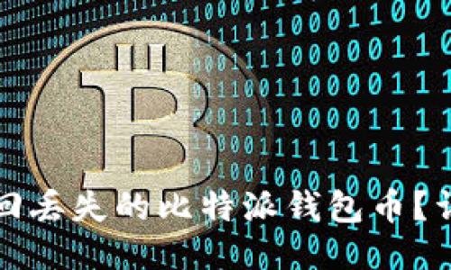 如何找回丢失的比特派钱包币？详细指南