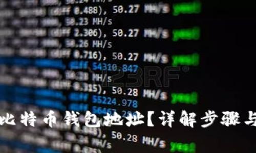如何提取比特币钱包地址？详解步骤与注意事项