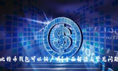 比特币钱包可以销户吗？全面解读与常见问题