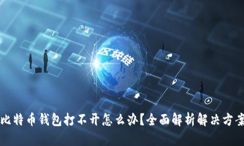 比特币钱包打不开怎么办？全面解析解决方案