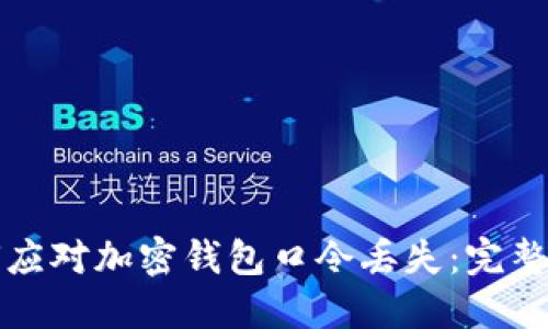 如何应对加密钱包口令丢失：完整指南