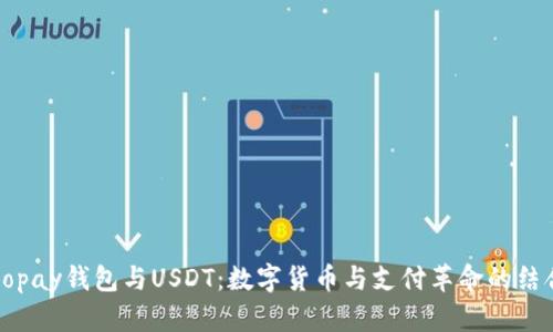 Gopay钱包与USDT：数字货币与支付革命的结合