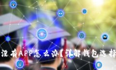 狗狗币钱包没有APP怎么办？详解钱包选择与使用