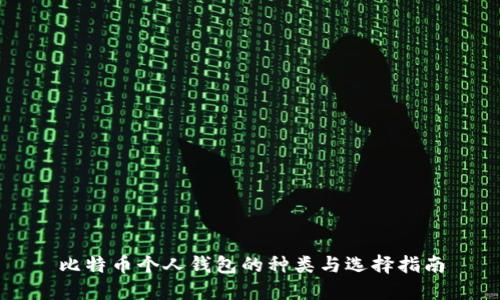 比特币个人钱包的种类与选择指南