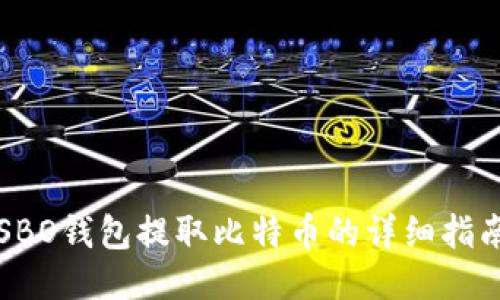 SBO钱包提取比特币的详细指南
