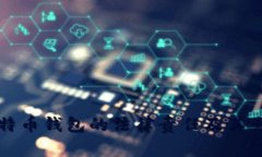 盗取比特币钱包的法律责任及其影响分析