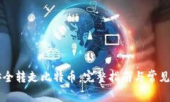 用私钥安全转走比特币：完整指南与常见问题解