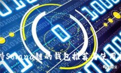 支持Solana链的钱包推荐与使用指南