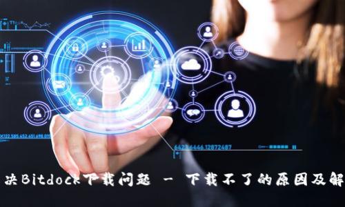 如何解决Bitdock下载问题 - 下载不了的原因及解决方案