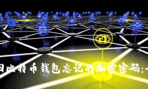 如何找回比特币钱包忘记的加密密码：全面指南