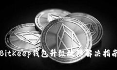 BitKeep钱包升级故障解决指南