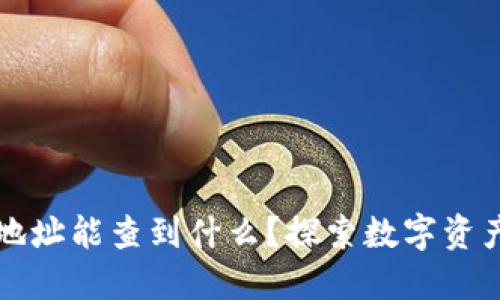 区块链钱包地址能查到什么？探索数字资产的透明世界