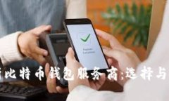 全面解析比特币钱包服务商：选择与使用指南