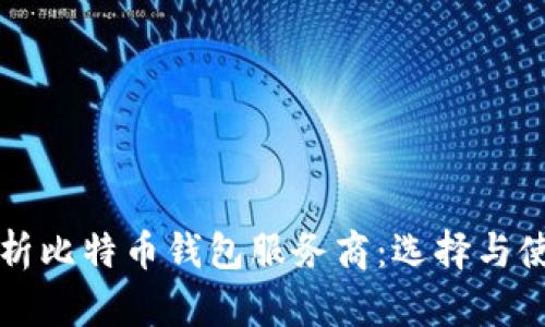 全面解析比特币钱包服务商：选择与使用指南