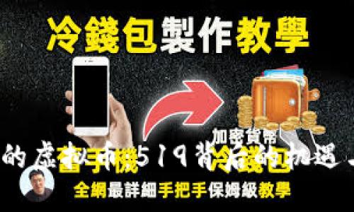  未来的虚拟币：519背后的机遇与挑战