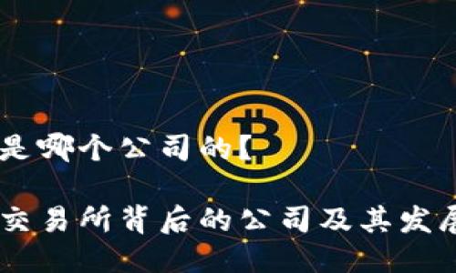 OKEx是哪个公司的？

OKEx交易所背后的公司及其发展历程