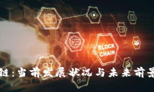 盛源链：当前发展状况与未来前景分析