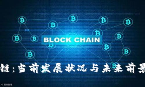 盛源链：当前发展状况与未来前景分析