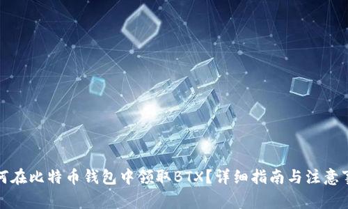 如何在比特币钱包中领取BTX？详细指南与注意事项