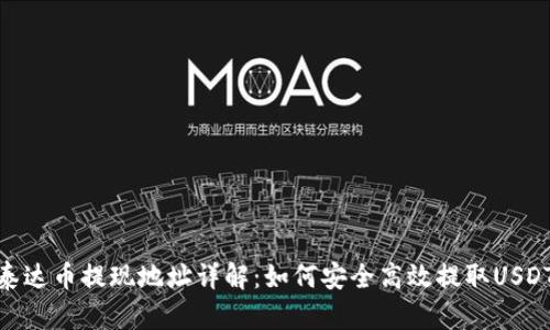 泰达币提现地址详解：如何安全高效提取USDT