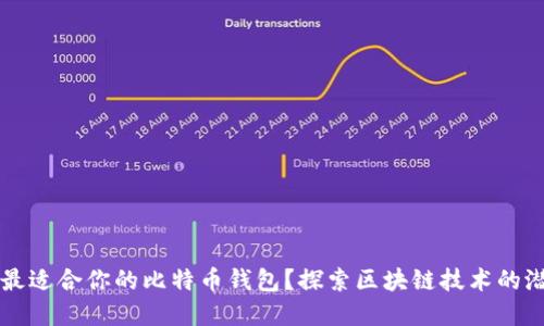 如何选择最适合你的比特币钱包？探索区块链技术的潜力与变革