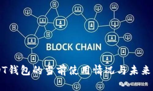 USDT钱包的当前使用情况与未来展望