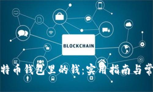 如何找回比特币钱包里的钱：实用指南与常见问题解答