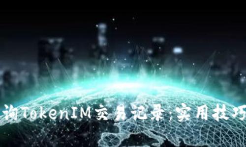 如何高效查询TokenIM交易记录：实用技巧与工具推荐