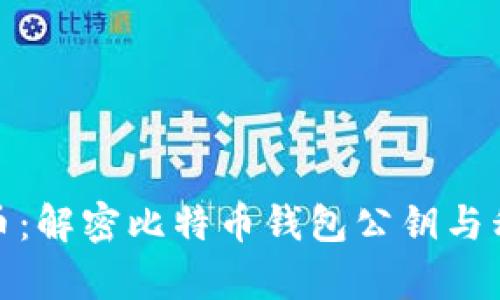 如何安全存储比特币：解密比特币钱包公钥与私钥的作用和安全性