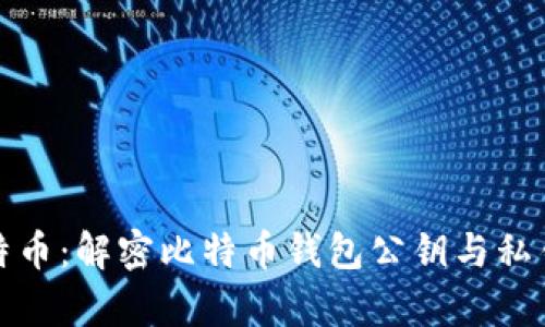 如何安全存储比特币：解密比特币钱包公钥与私钥的作用和安全性