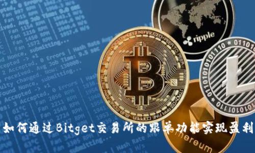 如何通过Bitget交易所的跟单功能实现盈利