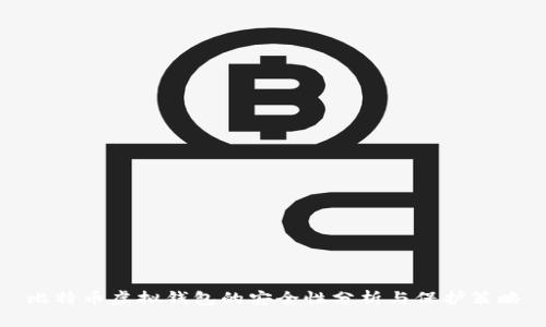 比特币虚拟钱包的安全性分析与保护策略