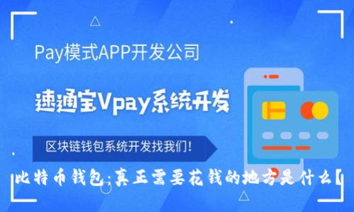 比特币钱包：真正需要花钱的地方是什么？