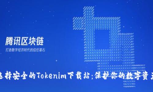 如何选择安全的Tokenim下载站：保护你的数字资产安全