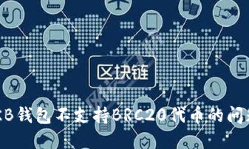如何解决OKB钱包不支持BRC20代币的问题：全面指南