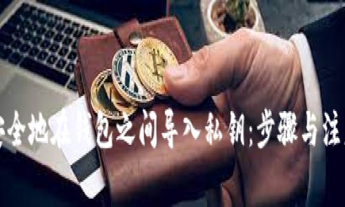如何安全地在钱包之间导入私钥：步骤与注意事项
