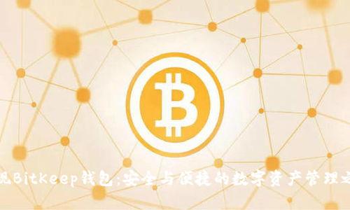 发现BitKeep钱包：安全与便捷的数字资产管理之道
