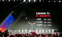 Bitget交易网：揭秘其优势与前景