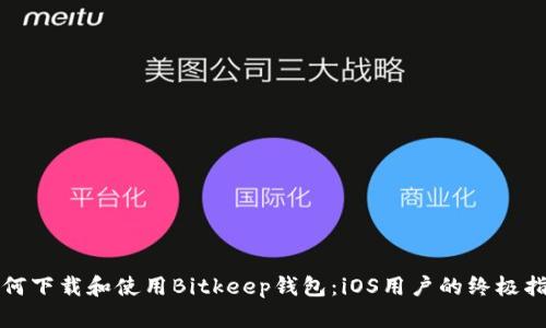 如何下载和使用Bitkeep钱包：iOS用户的终极指南