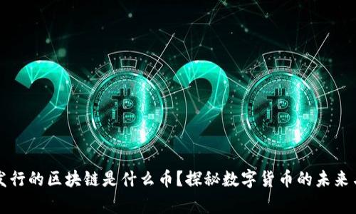 国家发行的区块链是什么币？探秘数字货币的未来与现状