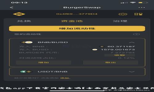 数字钱包app下载官网安全吗？全面分析及安全保障措施