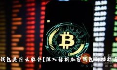 加密钱包是什么软件？深入解析加密钱包的功能