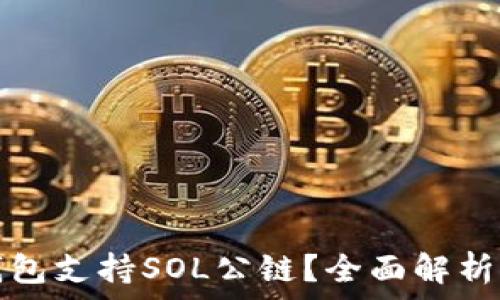   
哪些钱包支持SOL公链？全面解析与推荐
