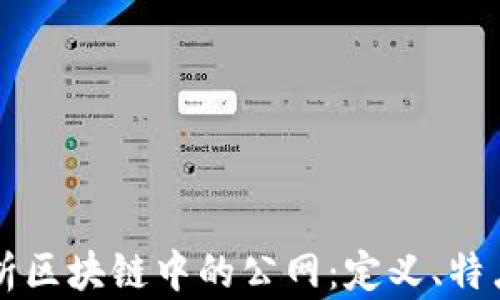 
深入解析区块链中的公网：定义、特点与应用