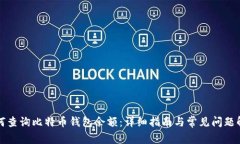如何查询比特币钱包余额：详细指南与常见问题