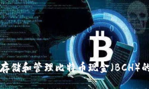 如何安全存储和管理比特币现金（BCH）的钱包指南