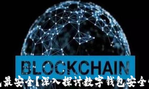 
什么数字钱包最安全？深入探讨数字钱包安全性与最佳选择