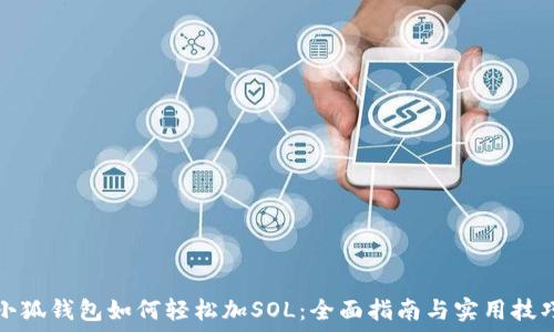  
小狐钱包如何轻松加SOL：全面指南与实用技巧