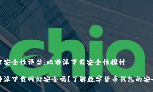 网站安全性评估：比特派下载安全性探讨

比特派下载网站安全吗？了解数字货币钱包的安全性