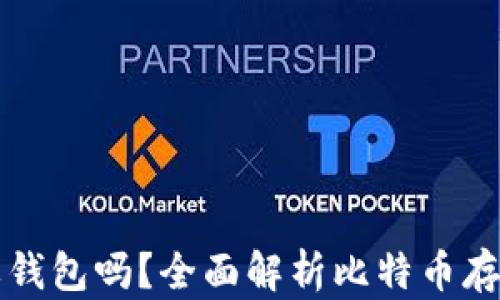 
比特币一定要钱包吗？全面解析比特币存储与安全问题